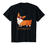 Funny Corgi T-Shirt Incorgnito Dog Pun Shirt Cute Pet Tee