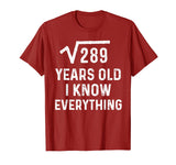 Square Root 17th Birthday Gift 17 Years Old Math Tshirt