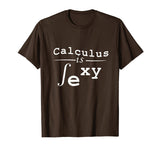 Calculus is Sexy Funny Math Shirt
